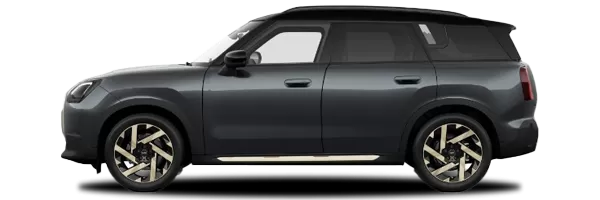 Mini Mini Countryman C